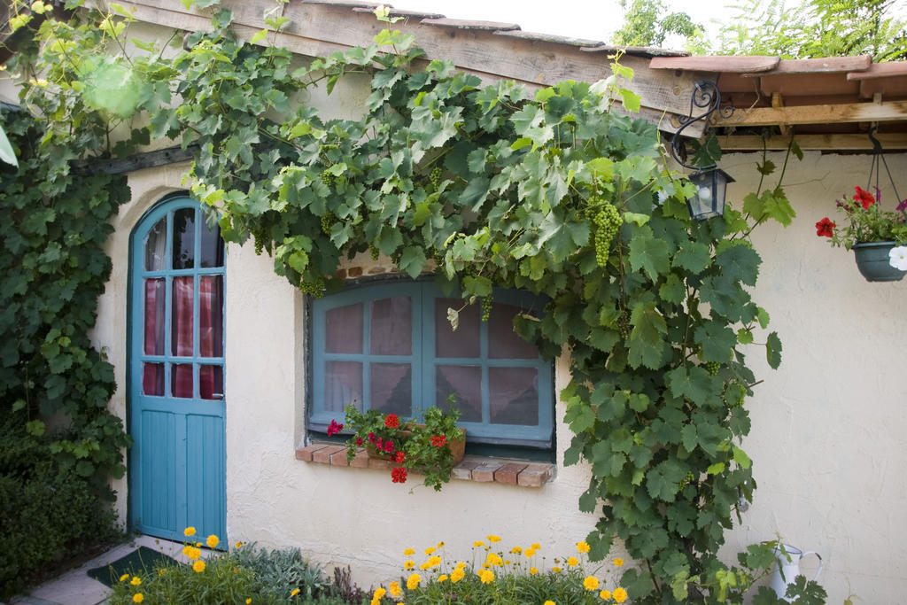 Chambre D'Hotes Oeuil De Bouc Madiran Phòng bức ảnh